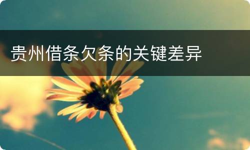 贵州借条欠条的关键差异