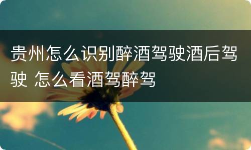 贵州怎么识别醉酒驾驶酒后驾驶 怎么看酒驾醉驾