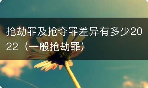 抢劫罪及抢夺罪差异有多少2022（一般抢劫罪）