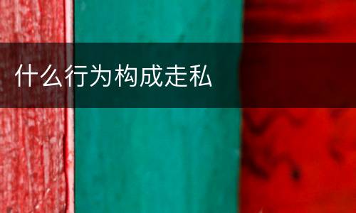 什么行为构成走私