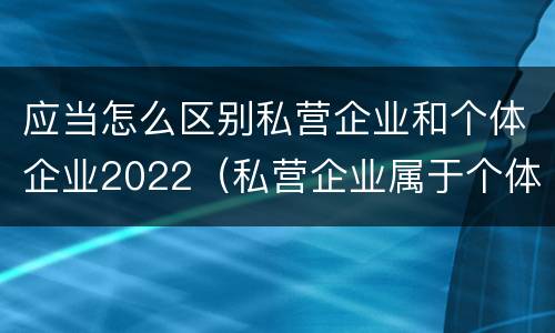 应当怎么区别私营企业和个体企业2022（私营企业属于个体经营吗）