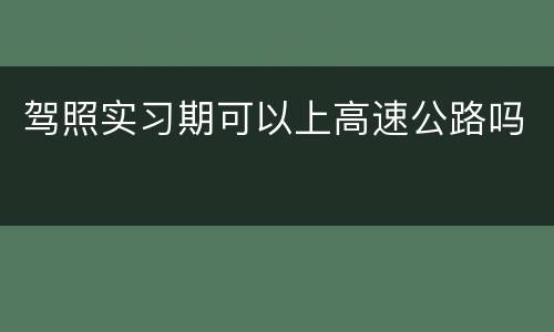 驾照实习期可以上高速公路吗