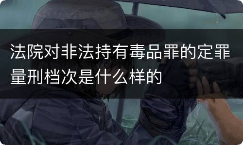 法院对非法持有毒品罪的定罪量刑档次是什么样的