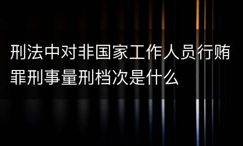 刑法中对非国家工作人员行贿罪刑事量刑档次是什么