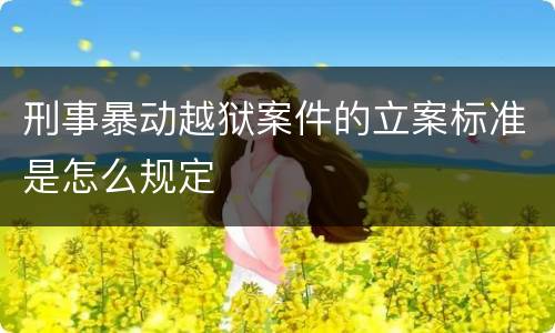 刑事暴动越狱案件的立案标准是怎么规定