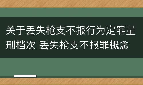 关于丢失枪支不报行为定罪量刑档次 丢失枪支不报罪概念