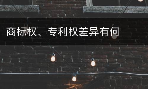 商标权、专利权差异有何