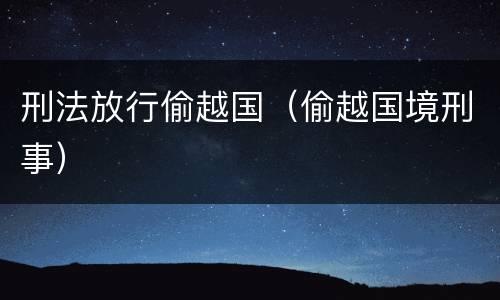 刑法放行偷越国（偷越国境刑事）