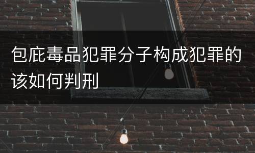 包庇毒品犯罪分子构成犯罪的该如何判刑