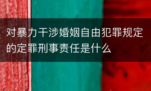 对暴力干涉婚姻自由犯罪规定的定罪刑事责任是什么