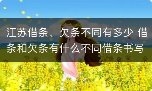 江苏借条、欠条不同有多少 借条和欠条有什么不同借条书写