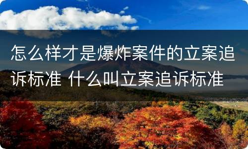 怎么样才是爆炸案件的立案追诉标准 什么叫立案追诉标准