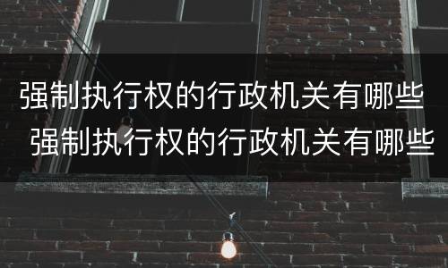 强制执行权的行政机关有哪些 强制执行权的行政机关有哪些规定