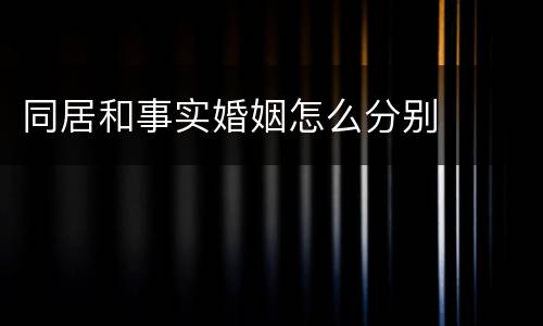 同居和事实婚姻怎么分别