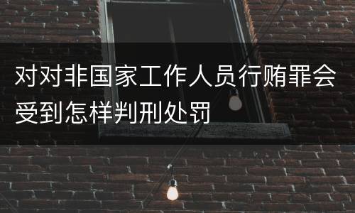 对对非国家工作人员行贿罪会受到怎样判刑处罚