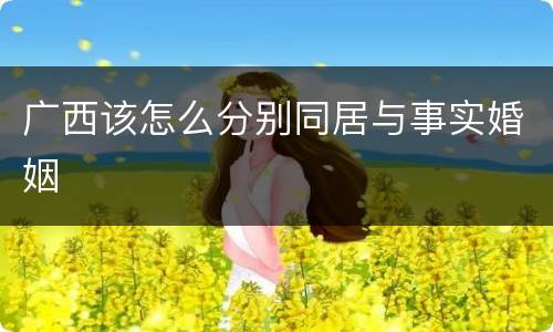 广西该怎么分别同居与事实婚姻