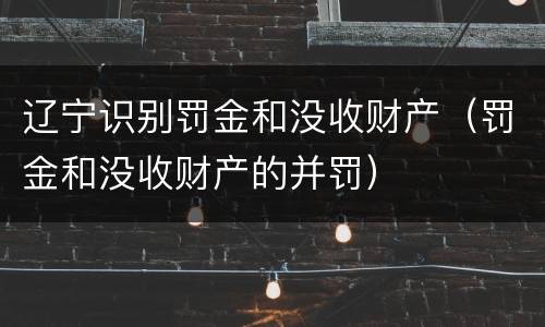辽宁识别罚金和没收财产（罚金和没收财产的并罚）