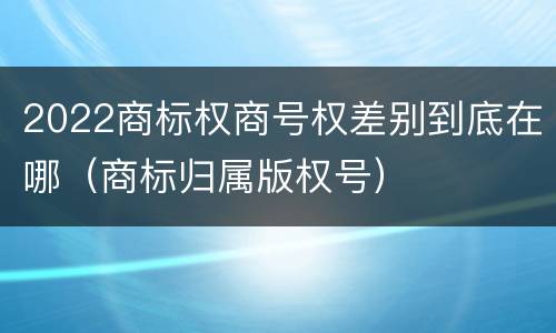 2022商标权商号权差别到底在哪（商标归属版权号）