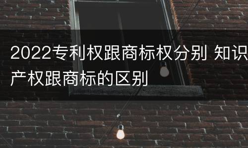 2022专利权跟商标权分别 知识产权跟商标的区别