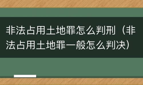 非法占用土地罪怎么判刑（非法占用土地罪一般怎么判决）