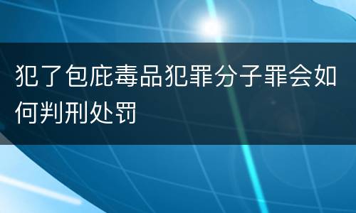犯了包庇毒品犯罪分子罪会如何判刑处罚