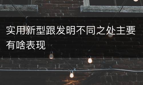 实用新型跟发明不同之处主要有啥表现