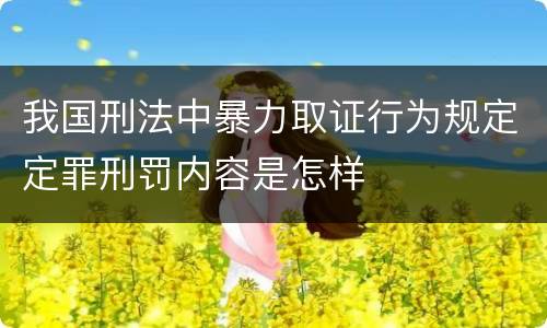我国刑法中暴力取证行为规定定罪刑罚内容是怎样