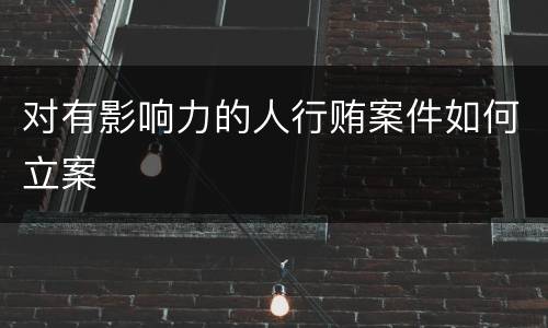 对有影响力的人行贿案件如何立案