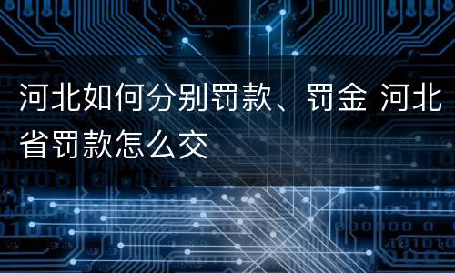 河北如何分别罚款、罚金 河北省罚款怎么交