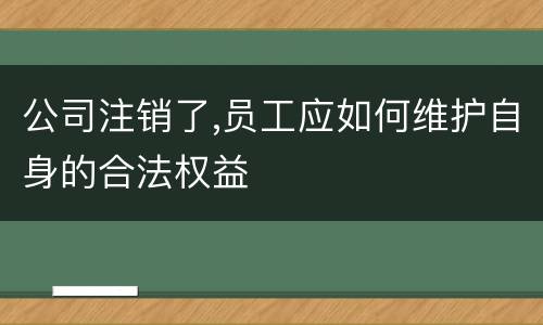 公司注销了,员工应如何维护自身的合法权益