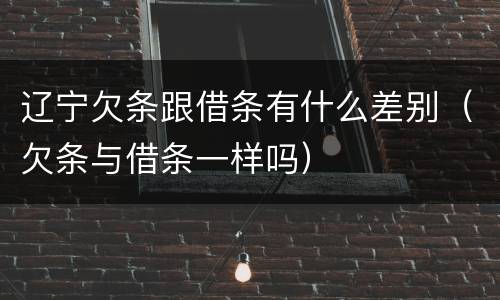 辽宁欠条跟借条有什么差别（欠条与借条一样吗）