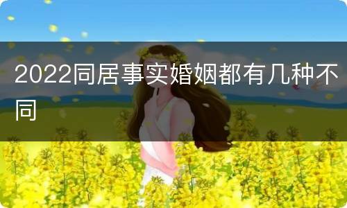 2022同居事实婚姻都有几种不同
