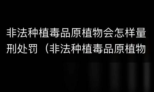 非法种植毒品原植物会怎样量刑处罚（非法种植毒品原植物量刑标准）