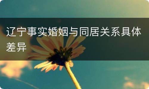 辽宁事实婚姻与同居关系具体差异