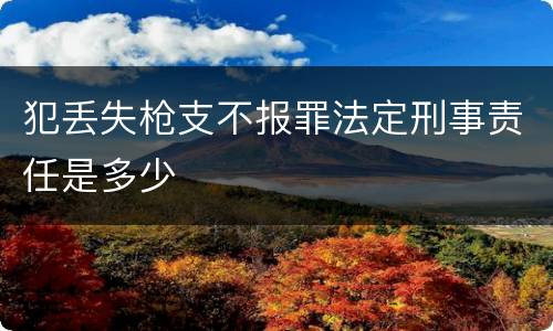 犯丢失枪支不报罪法定刑事责任是多少