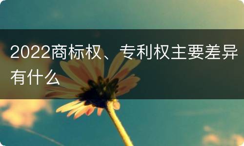 2022商标权、专利权主要差异有什么