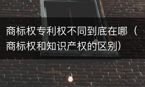 商标权专利权不同到底在哪（商标权和知识产权的区别）