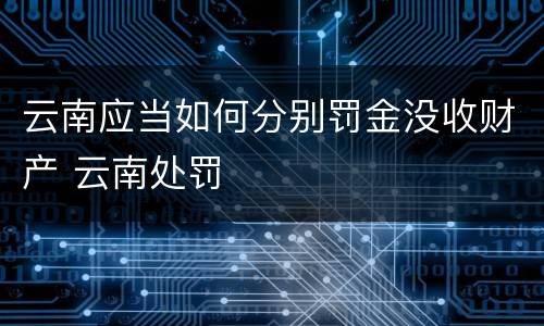 云南应当如何分别罚金没收财产 云南处罚
