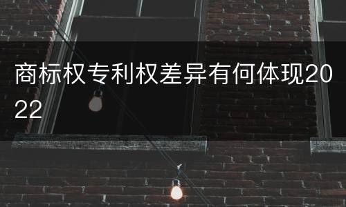 商标权专利权差异有何体现2022