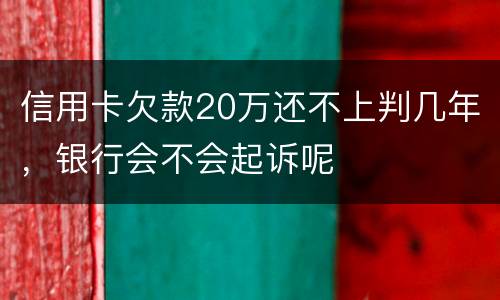 信用卡欠款20万还不上判几年，银行会不会起诉呢