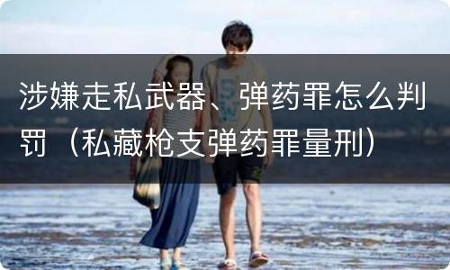 涉嫌走私武器、弹药罪怎么判罚（私藏枪支弹药罪量刑）