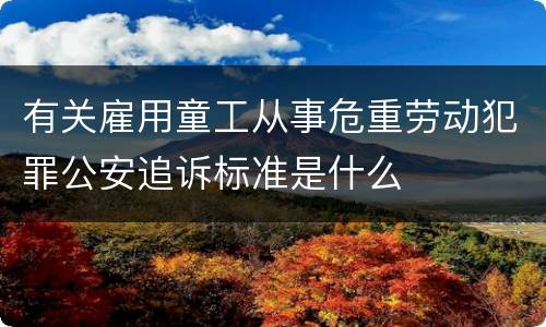 有关雇用童工从事危重劳动犯罪公安追诉标准是什么