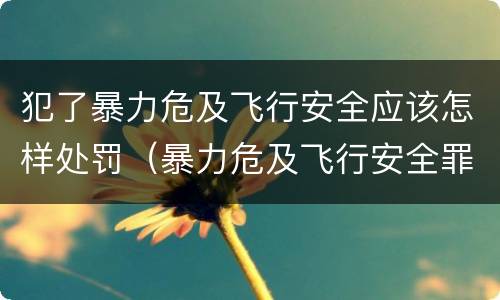 犯了暴力危及飞行安全应该怎样处罚（暴力危及飞行安全罪是危险犯吗）