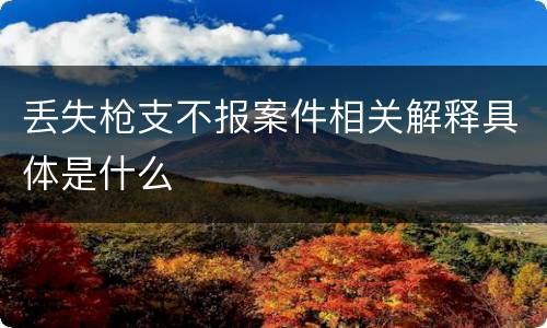 丢失枪支不报案件相关解释具体是什么