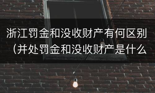浙江罚金和没收财产有何区别（并处罚金和没收财产是什么意思）