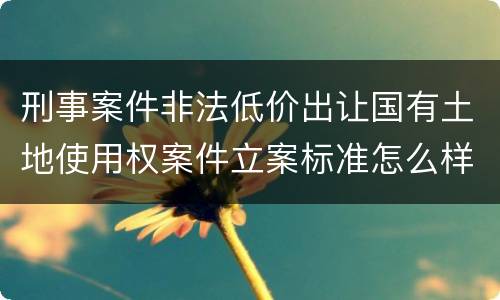 刑事案件非法低价出让国有土地使用权案件立案标准怎么样认定