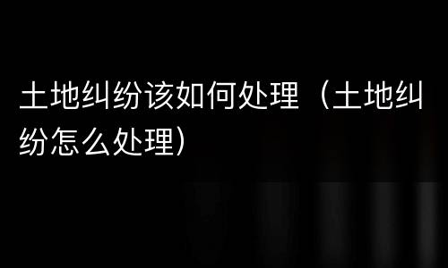 土地纠纷该如何处理（土地纠纷怎么处理）