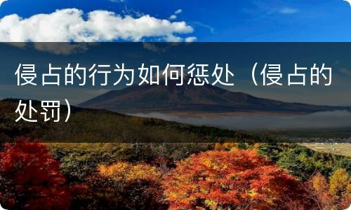 侵占的行为如何惩处（侵占的处罚）