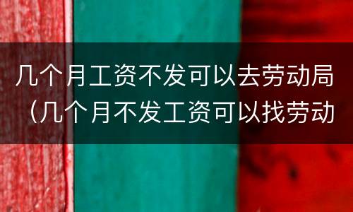 几个月工资不发可以去劳动局（几个月不发工资可以找劳动局）