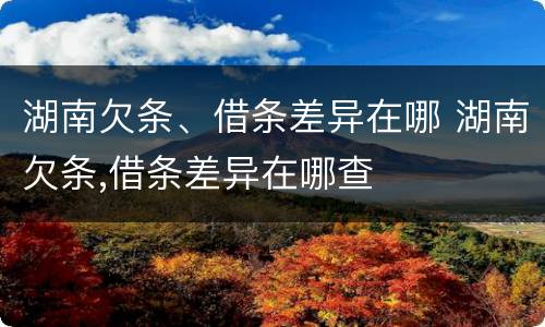 湖南欠条、借条差异在哪 湖南欠条,借条差异在哪查